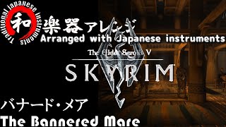 SKYRIM  The Bannered Mare music played in bars etc Japanese Instruments [upl. by Llerat]