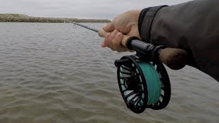 Echo Bravo Fly Reel for saltwater [upl. by Oiliduab]