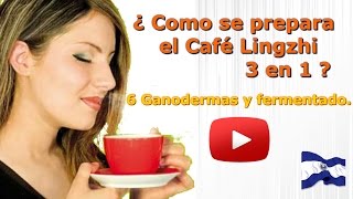 ¿Como preparar el Café Lingzhi 3 en 1  Fermentado con 6 Ganodermas [upl. by Myra]