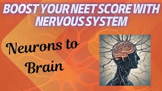 NEET Biology Nervous System 15 Crucial Questions with Detailed Explanations  NEET 2025 Prep [upl. by Nahpets]