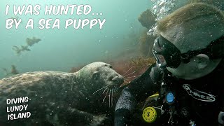 I WAS HUNTED BY A SEA PUPPY  Diving at Lundy Island UK [upl. by Etnoel879]