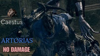 Knight Artorias Only Caestus No Damage Boss Fight  Dark Souls 1 [upl. by Aeki419]