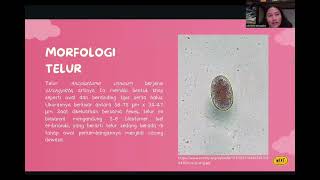 PJBL Parasitologi Veteriner Ancylostoma caninum Kelompok D2 [upl. by Colvin]