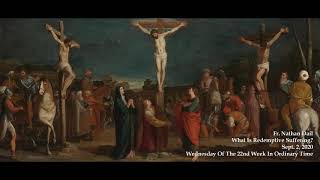 Fr Nathan Dail  What Is Redemptive Suffering [upl. by Moia210]