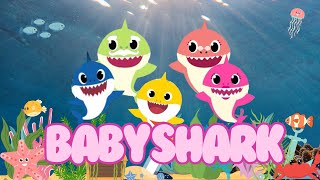 baby shark  Childrens songs [upl. by Jadwiga43]