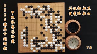 中国围棋甲级联赛总决赛朴廷桓vs夏晨琨下集 [upl. by Veljkov]