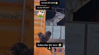 रक्षा करो 🙏🙏 cow cows cowvideos cowboys cowboy animaldance animals gay gau gaumata [upl. by Aneeh970]