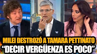 MILEI DESTROZÓ A TAMARA PETTINATO TRAS VIDEO CON ALBERTO FERNÁNDEZ quotVERGÜENZA ES POCOquot [upl. by Baudin522]