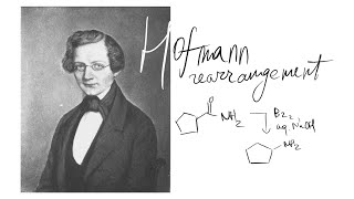 Hofmann rearrangement [upl. by Aetnahs]