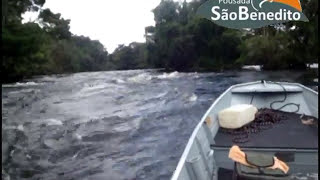 Pescaria de Pacus no Rio São Benedito  Pousada São Benedito no Pará [upl. by Askwith]