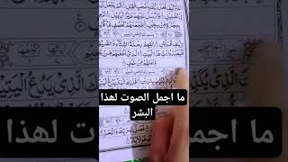 Surah Al Quraysh khobsorat awaz myiifor you vediopleasesubscribemychannelbaeutyduetfypviral [upl. by Eidas]