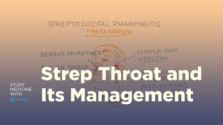 Strep throat pathology symptoms and management [upl. by Naujit]