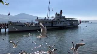 Dampfschiff auf dem Zürichsee SWITZERLAND 2018 [upl. by Caty]