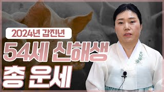 2024년 ‘54세 신해생’ 돼지띠 운세 신점 [upl. by Aisayt]