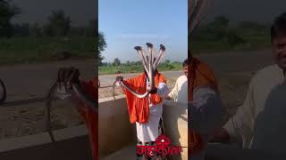 Three head snake mai bhakt tumari hu bhakti short video viralshorts varaha bhaja [upl. by Reed899]