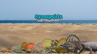 SYNAPSIDS  Size Comparison [upl. by Anirtik974]