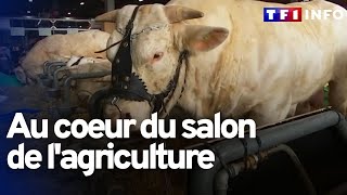 Le salon de lagriculture comme si vous y étiez [upl. by Ettari219]