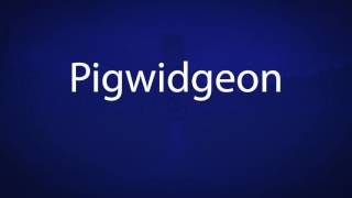 How to pronounce Pigwidgeon  Harry potter characters [upl. by Nappie]