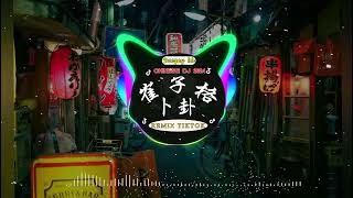 🎧全中文DJ舞曲夜店混音舞曲串烧 2024 🎼 酒吧最火DJ舞曲 🔥 Chinese DJ remix 👍 Hot Tiktok Douyin Dj 抖音版2024 [upl. by Eivla908]