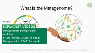 Metagenomics principles and workflow [upl. by Nojad854]