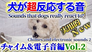 《改良版》【犬が超反応する音】チャイム＆電子音編Vol2（Sounds that dogs really react to Chimes and electronic sounds vol2） [upl. by Philbo587]