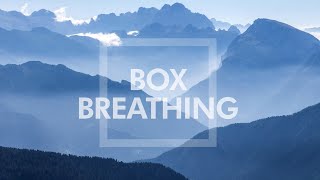 Box Breathing  Reduce Anxiety  Navy SEAL Method  Tactical Advanced Pace  Pranayama Exercise [upl. by Cully]