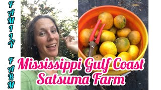 Satsuma Farm on the Mississippi Gulf Coast [upl. by Attenyw]