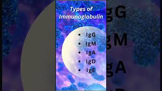 Antibody Types and Functions👍👍 [upl. by Atinar760]