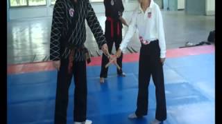 HAPKIDO Dan bong Mladen Kužnik 7 Dan [upl. by Edson]