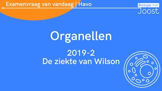 5 Examenvraag van vandaag  Havo  20192 Organellen [upl. by Oilejor]