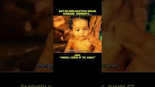 BAYI INI DISELAMATKAN MACAN KUMBANG ENDINGNYA shorts alurceritafilm cuplikanfilm [upl. by Namsaj]