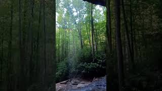 Water flows overhead at Moore Cove Falls Pisgah National Forest NC [upl. by Mehsah]