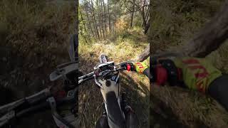 Steeper downhill than uphill RIEJUOFFICIAL gerecsemotor8836 rieju enduro moto motocross [upl. by Aidroc]