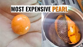 Rare Melo Pearl The Most Expensive Pearl [upl. by Atinram]