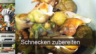 Schnecken zubereiten  Rezept [upl. by Adniuqal1]