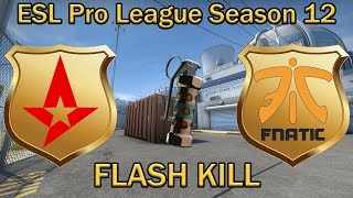 УБИЛИ ФЛЕШКОЙ es3tag FLASH grenade KILL KRIMZ  Astralis vs Fnatic Nuke  ESL Pro League 12 [upl. by Llenrahc]