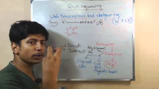 RNA sequencing [upl. by Catina]