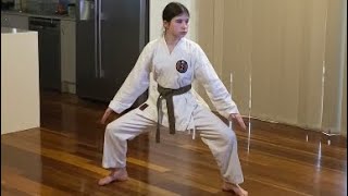 GKR Karate kata Seiunchin Online Grading to 2nd kyu black tip [upl. by Ettevahs156]