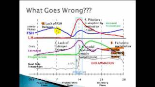 Female Hormones The Normal Cycle [upl. by Anuahsar]