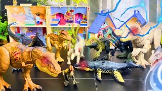 Jurassic World Dinosaurs TREX vs Spinosaurus vs Kronosaurus vs Spinosaurus vs Carnotaurus [upl. by Margarida205]