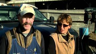 VetsOnCall  Dr Pete Ostrum ultrasounds cows [upl. by Hilly366]