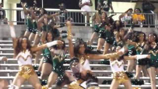 DeSoto Eaglettes amp Majorettes 20132014 [upl. by Natiha]