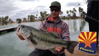 Spring Shore Bass Catfish Fishing Arizona [upl. by Nale]