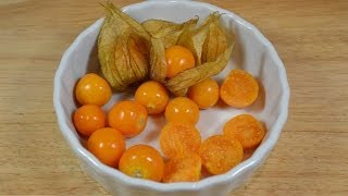 Physalis essen [upl. by Nnyw]