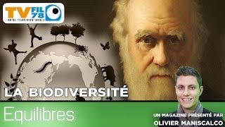 Equilibres  La biodiversité [upl. by Rammaj]