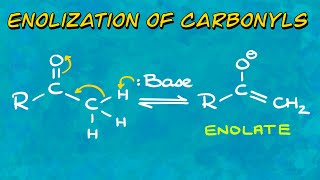 Enolization of Carbonyls Thermodynamic vs Kinetic Enolates [upl. by Ramed]