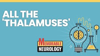 Thalamus Hypothalamus and Epithalamus Mnemonics Memorable Neurology Lecture 3 [upl. by Truitt339]