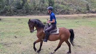 Horse back safari Botlierskop [upl. by Akema]