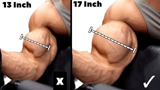 Best Bicep Exercises in Gym to Build Wider Biceps [upl. by Repinuj25]