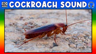 🪳 COCKROACH SOUND  COCKROACH SOUND EFFECT  SOUND OF COCKROACH  NOISE OF COCKROACH [upl. by Ylevol]